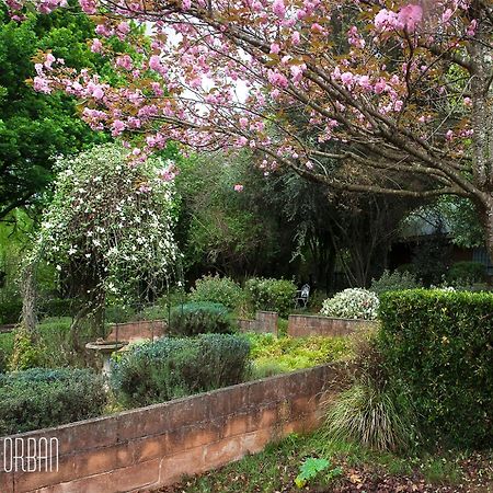Birches Cottage & The Willows Garden Room Underberg Exteriér fotografie