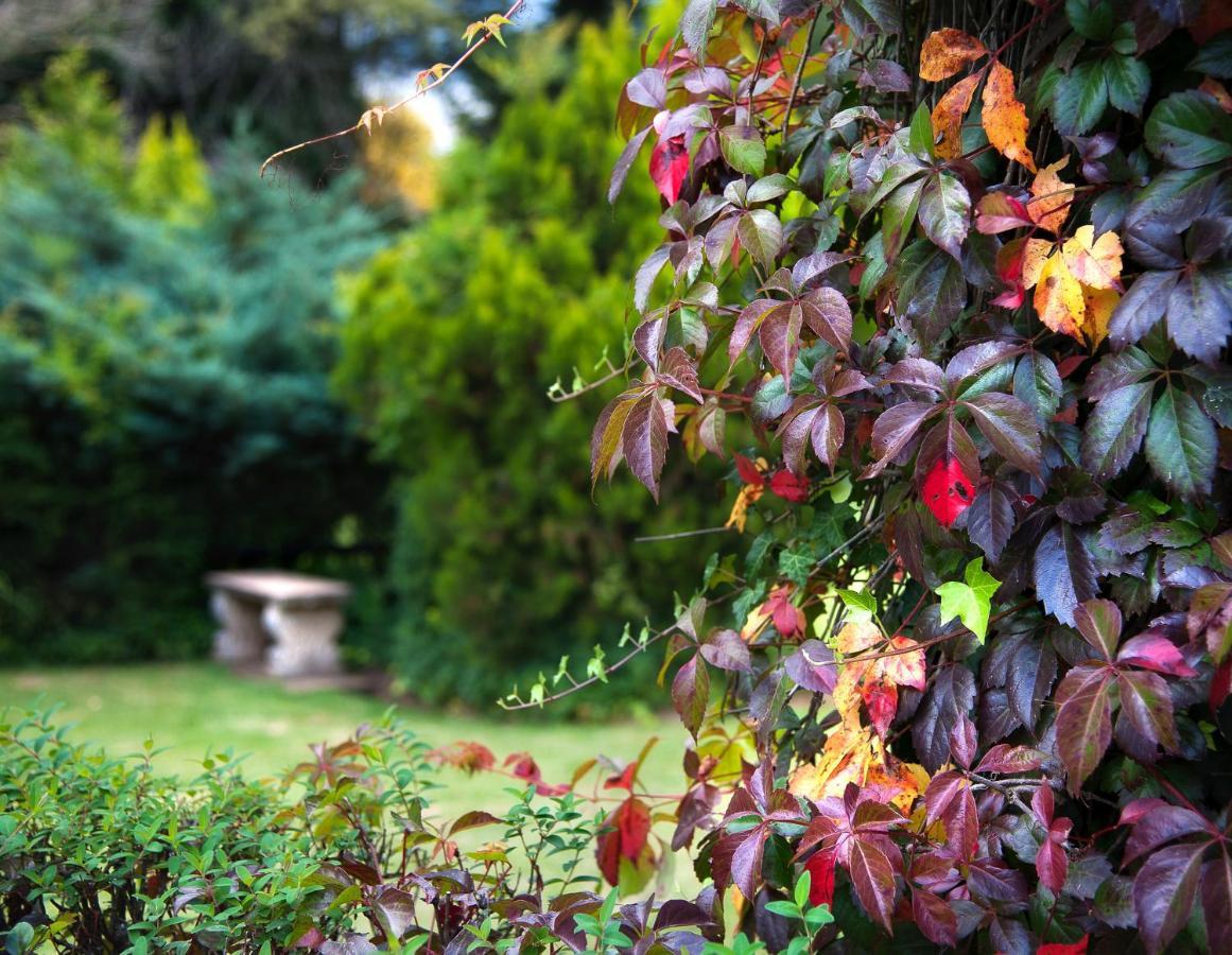 Birches Cottage & The Willows Garden Room Underberg Exteriér fotografie