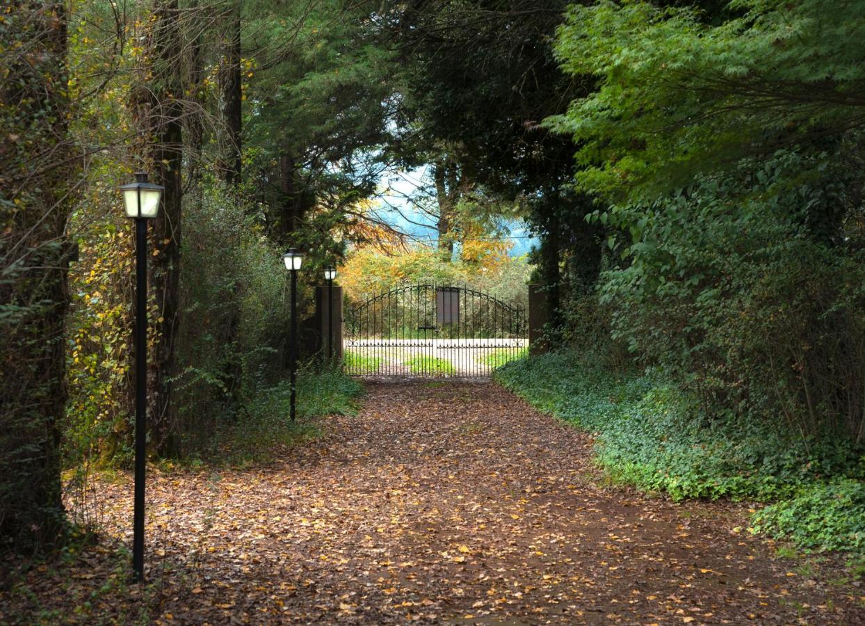 Birches Cottage & The Willows Garden Room Underberg Exteriér fotografie