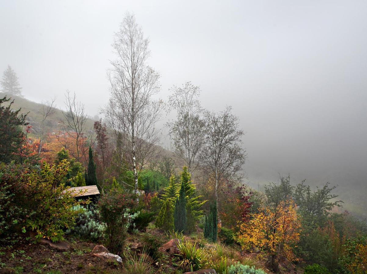 Birches Cottage & The Willows Garden Room Underberg Exteriér fotografie