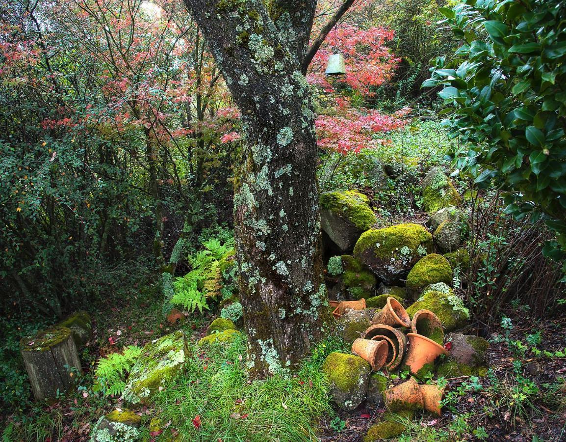 Birches Cottage & The Willows Garden Room Underberg Exteriér fotografie