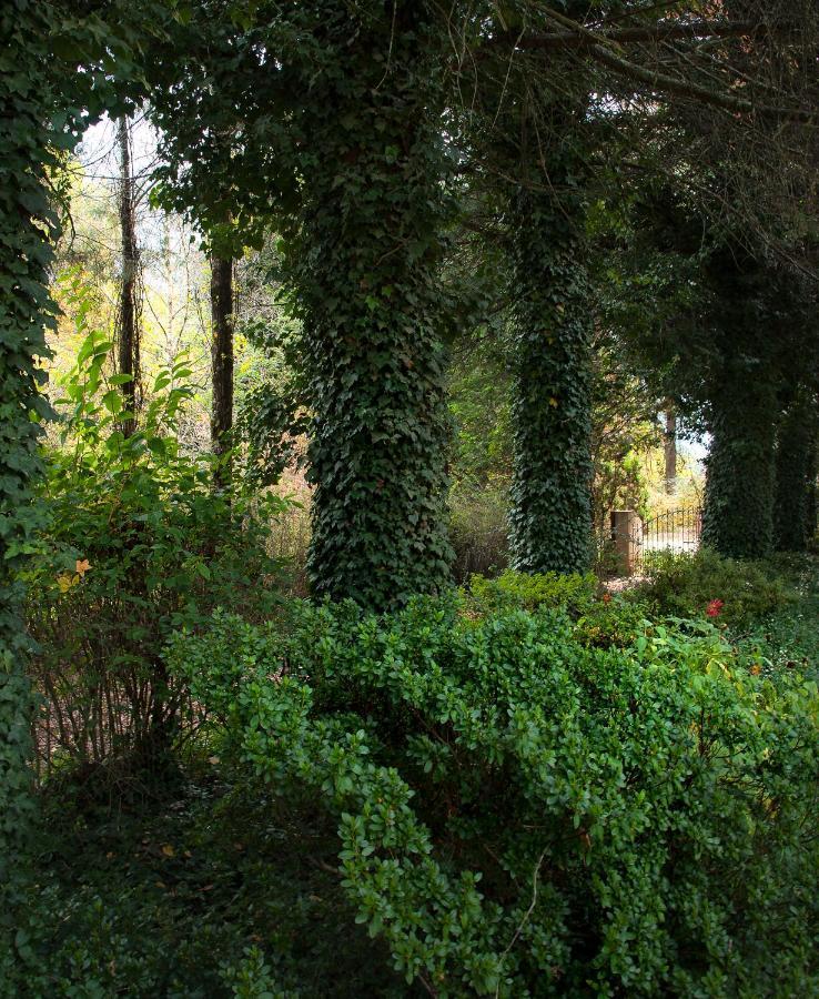Birches Cottage & The Willows Garden Room Underberg Exteriér fotografie