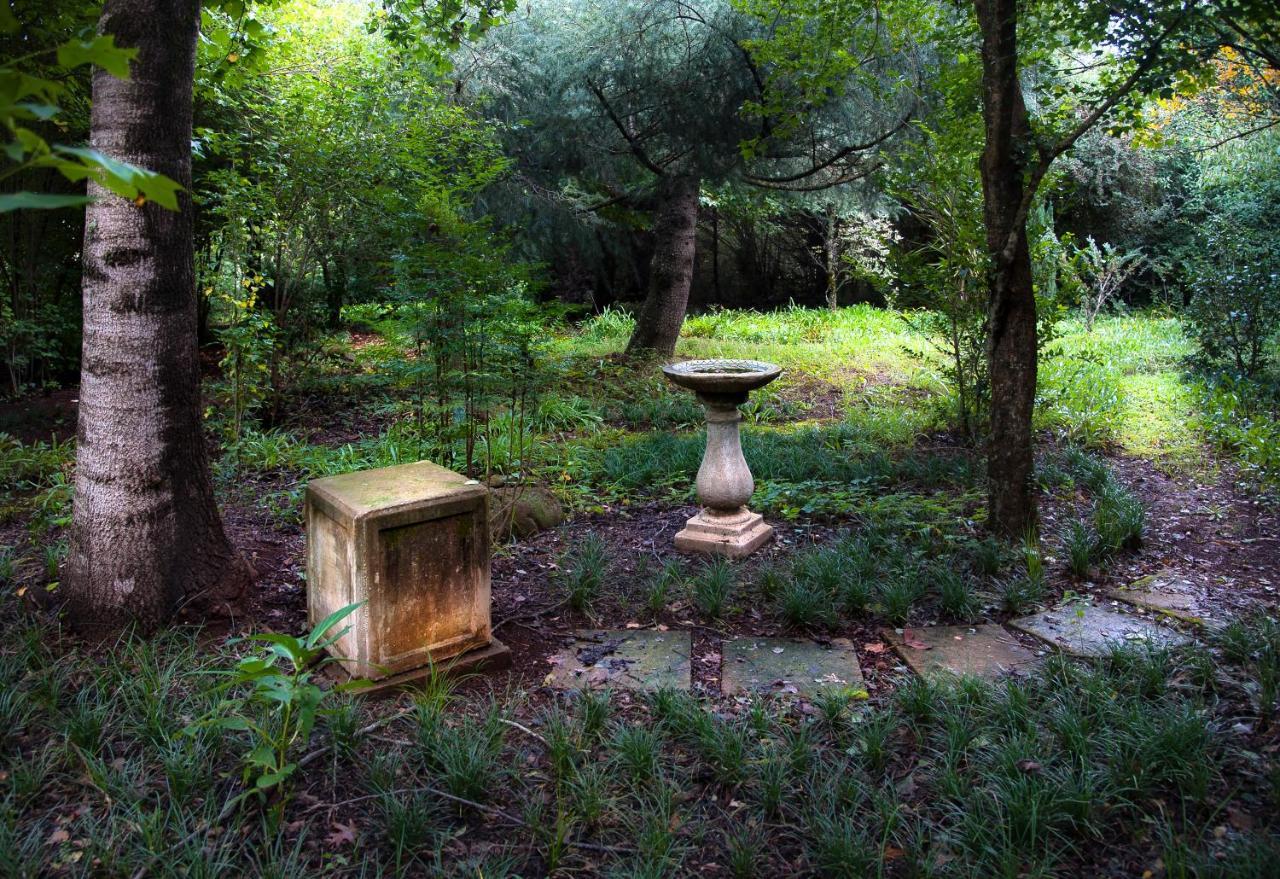 Birches Cottage & The Willows Garden Room Underberg Exteriér fotografie
