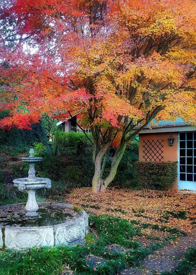 Birches Cottage & The Willows Garden Room Underberg Exteriér fotografie