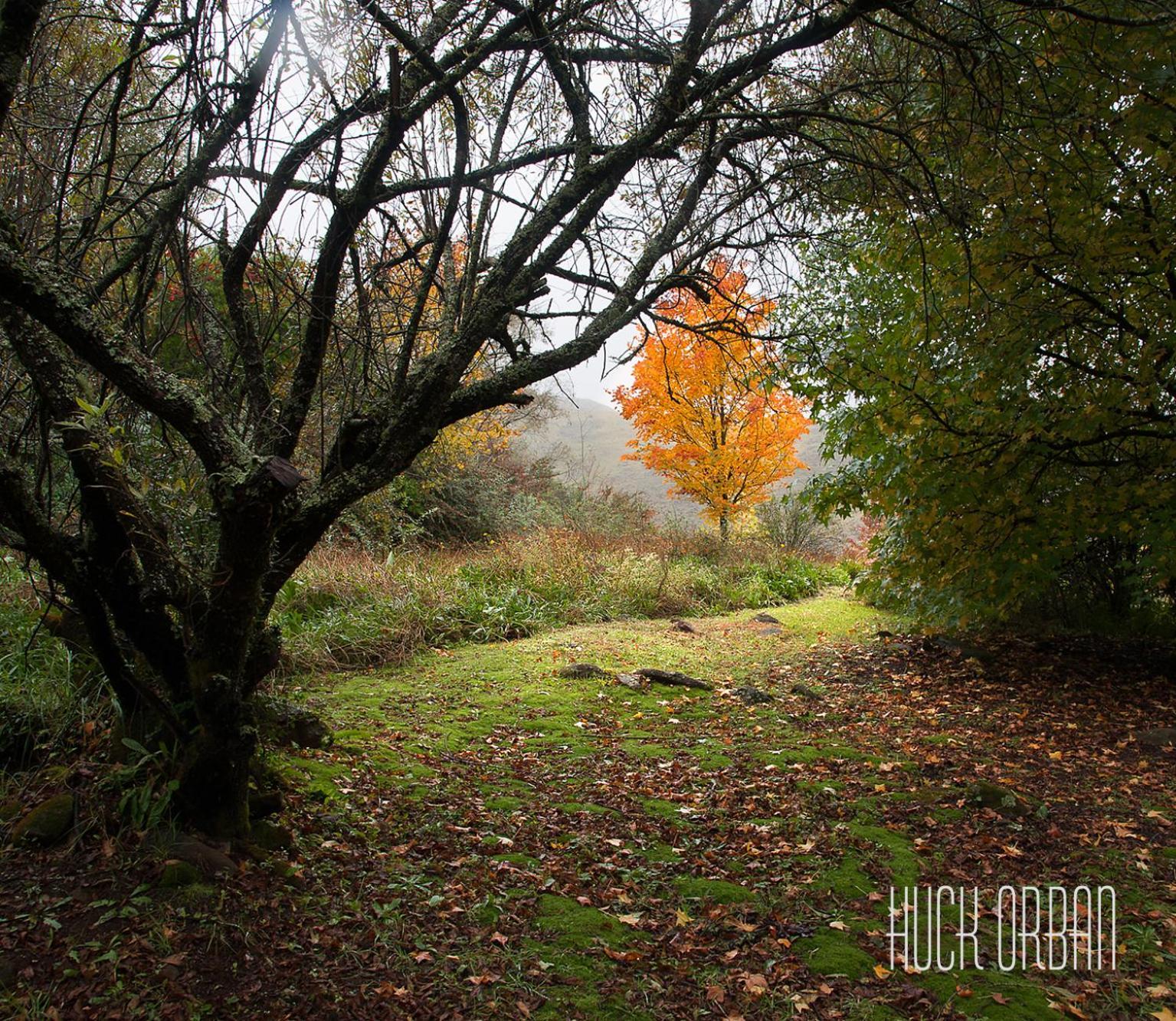 Birches Cottage & The Willows Garden Room Underberg Exteriér fotografie