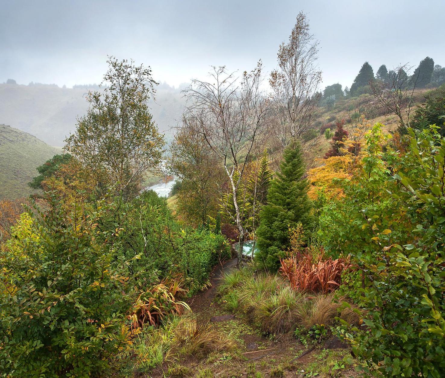 Birches Cottage & The Willows Garden Room Underberg Exteriér fotografie