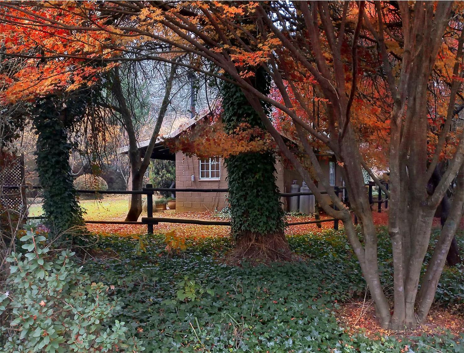 Birches Cottage & The Willows Garden Room Underberg Exteriér fotografie