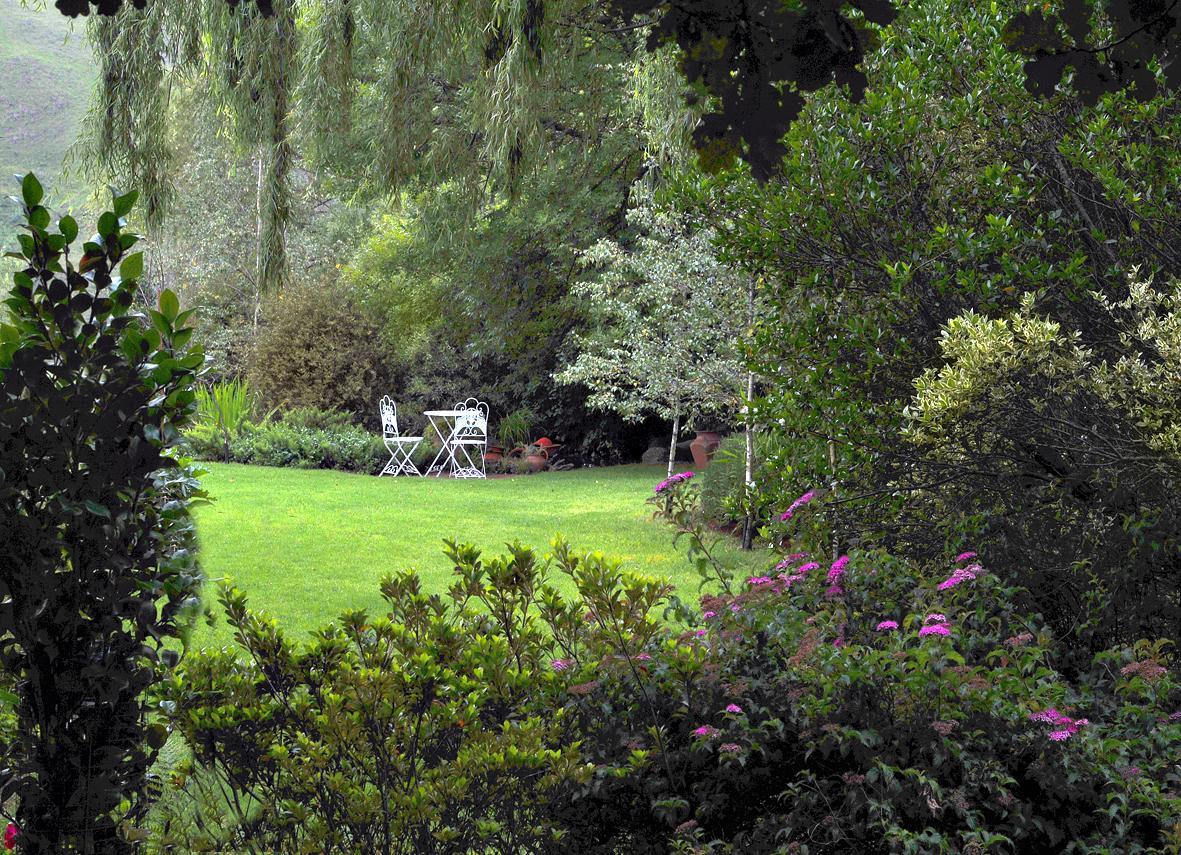 Birches Cottage & The Willows Garden Room Underberg Exteriér fotografie