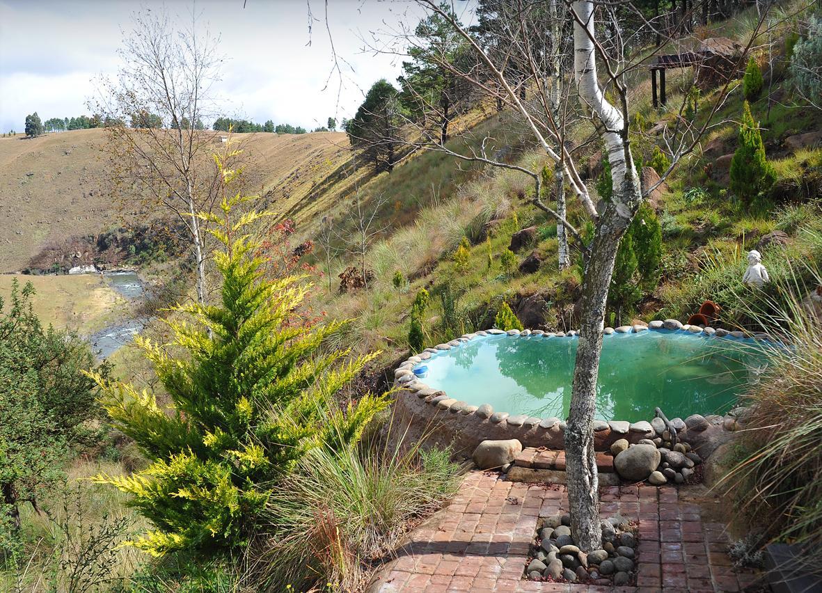 Birches Cottage & The Willows Garden Room Underberg Exteriér fotografie