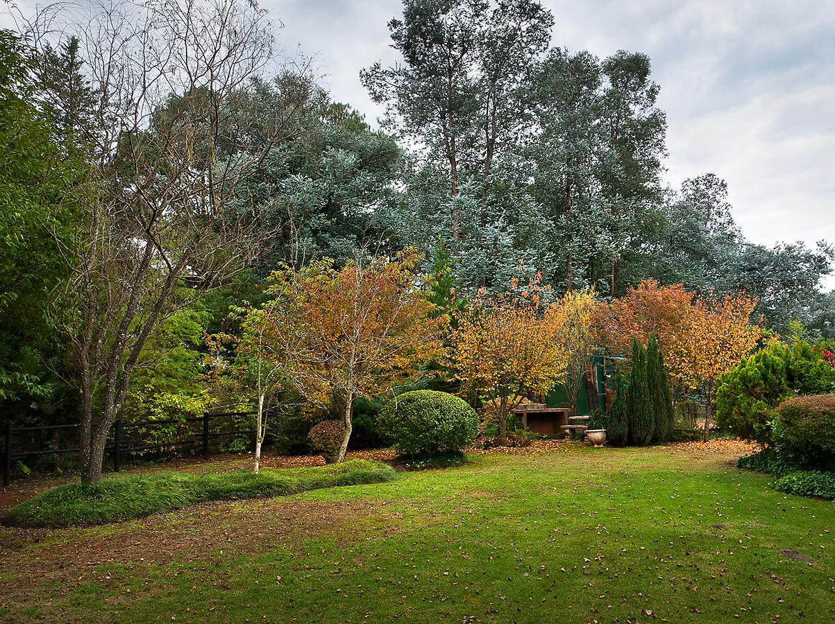Birches Cottage & The Willows Garden Room Underberg Exteriér fotografie