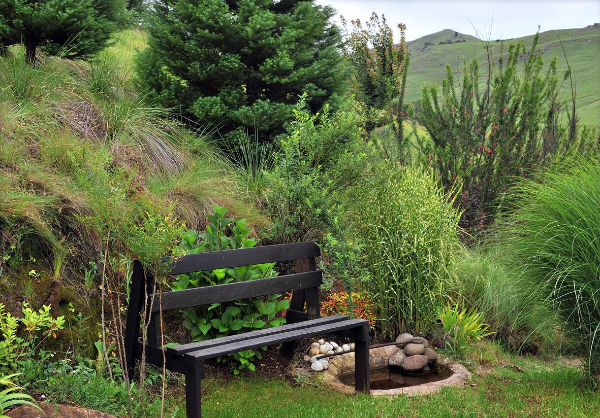 Birches Cottage & The Willows Garden Room Underberg Exteriér fotografie