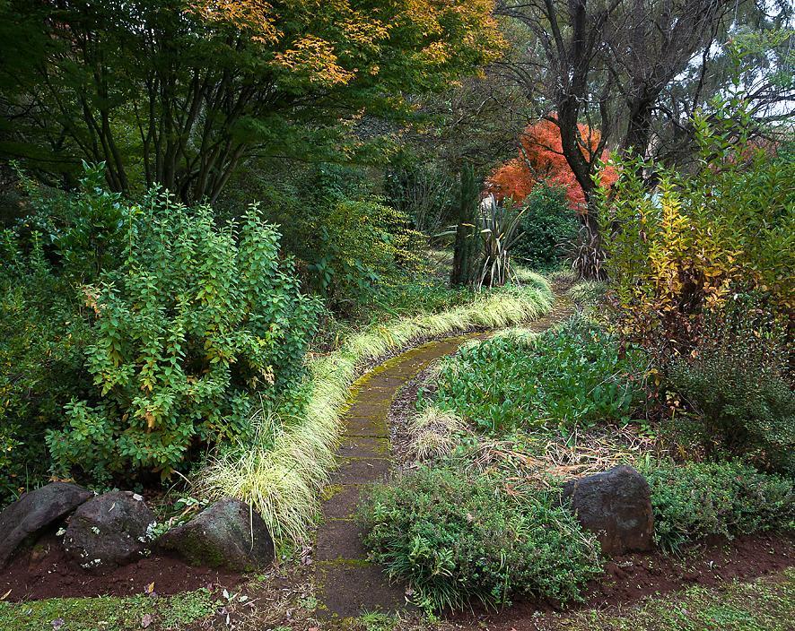 Birches Cottage & The Willows Garden Room Underberg Exteriér fotografie