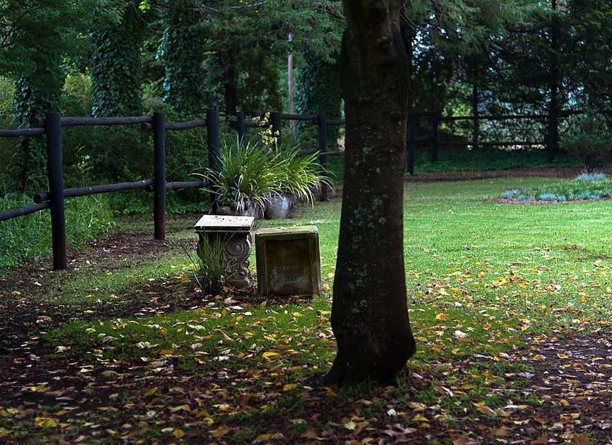 Birches Cottage & The Willows Garden Room Underberg Exteriér fotografie