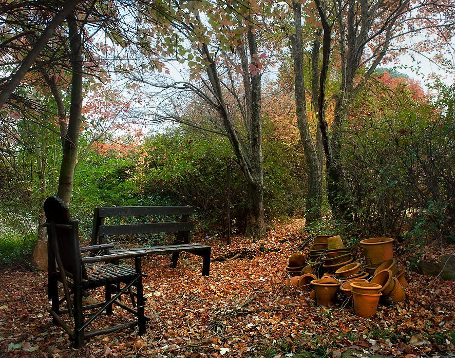 Birches Cottage & The Willows Garden Room Underberg Exteriér fotografie