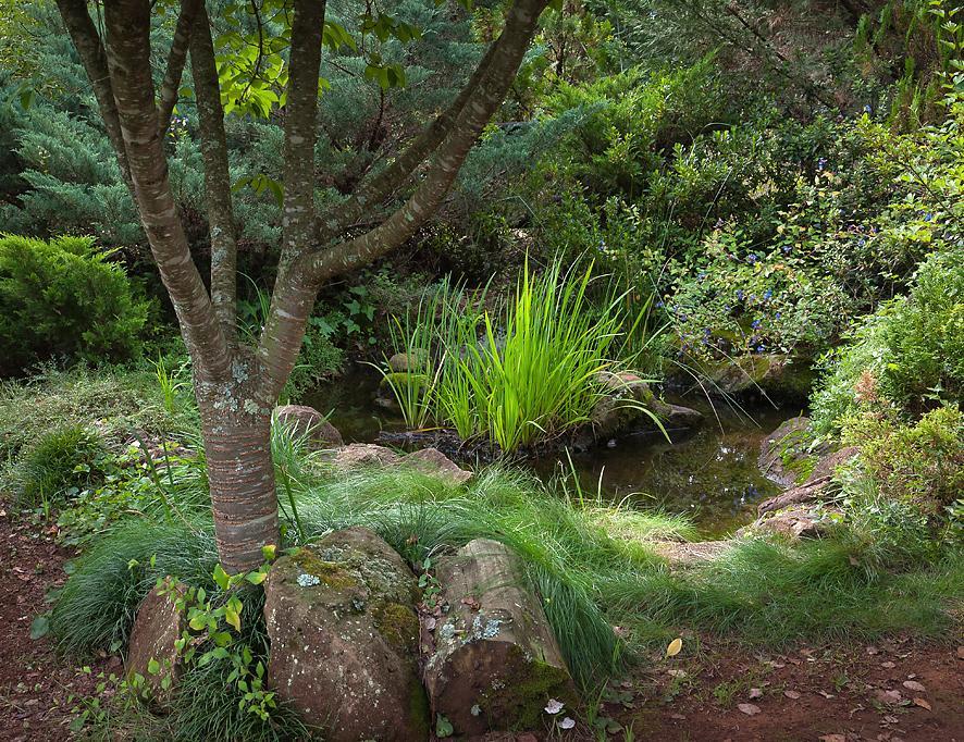 Birches Cottage & The Willows Garden Room Underberg Exteriér fotografie