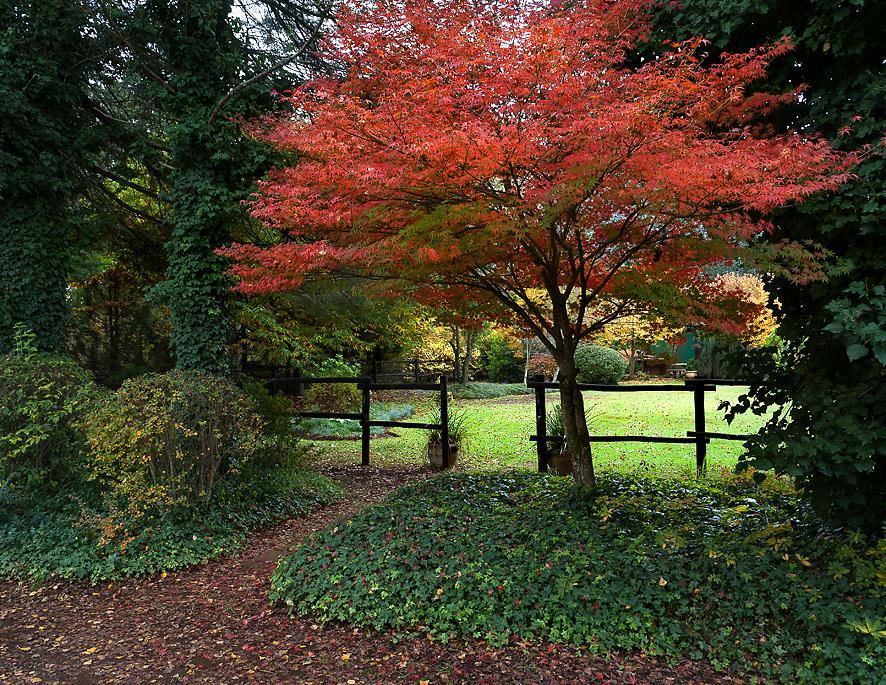 Birches Cottage & The Willows Garden Room Underberg Exteriér fotografie
