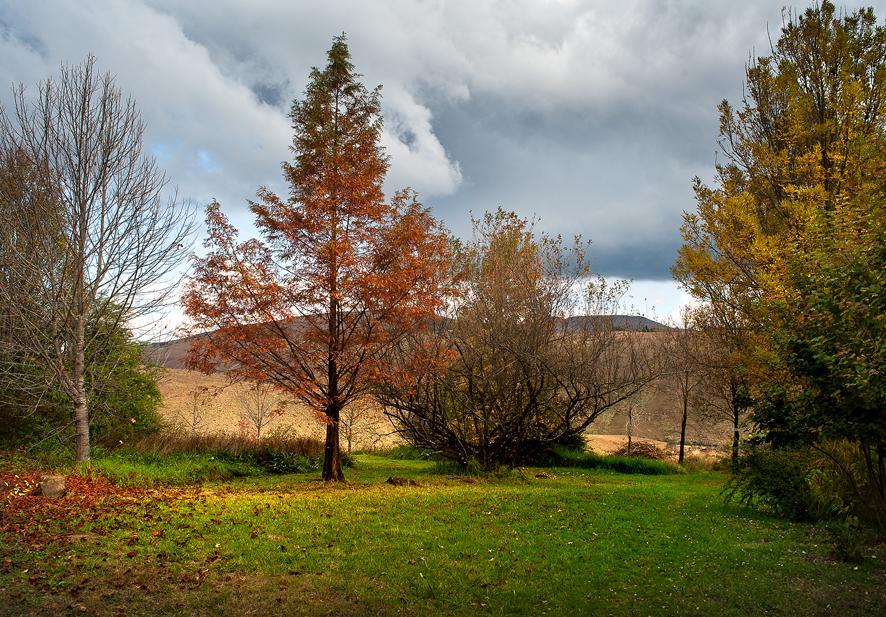 Birches Cottage & The Willows Garden Room Underberg Exteriér fotografie